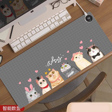 ����ů���|�k���ӟ���ˉ|����W�����ַ�������ӟ�|���ܐa��