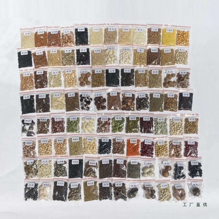 108种科普种子标本蔬菜水果五谷豆标本学生认知幼儿园植物角种子