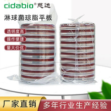 淋球菌琼脂平板选择性培养基细菌培养平板微生物培养平皿琼脂平板