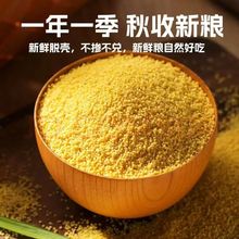 东北农家有机黄小米新米10斤装朝阳有机小黄米粥可代加工一件代发