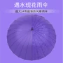 弯柄直杆遇水开花晴雨伞