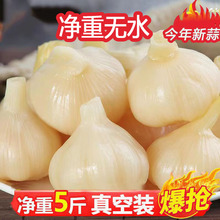 �����^5�������Ǵ����ݲ�ɽ�|�������r��������������̲����