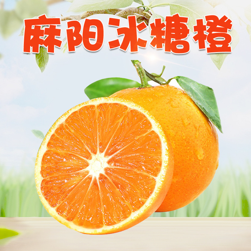 湖南麻阳冰糖橙 代发3/9斤当季冰糖甜橙新鲜榨汁鲜橙非九月红脐橙