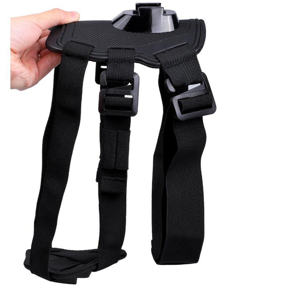 Dog Harness in Action