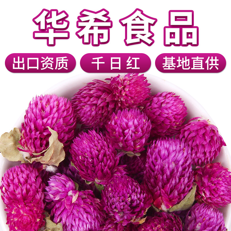 华希厂家批发云南干花千日红基地直供新货千日紫散装500g干花草茶