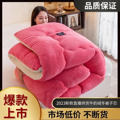 Wholesale Lamb Wool Winter Blanket Milk Wool Double-Sided Fleece Blanket Insert Thick Warm Coral Fleece Taffeta Arctic Wool Quilt