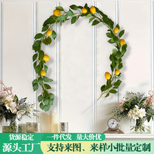 �F؛���晎���ٗl�Ҿ��bGֲ���h��������b�������������ֲ��