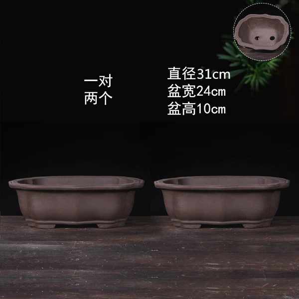 Flowerpot, 31cm, 31cm
