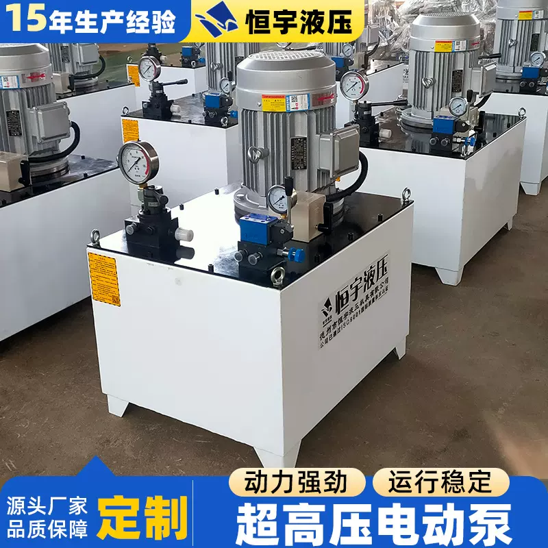 超高压油泵电动液压泵小型升降100吨200吨双向超高压电动泵