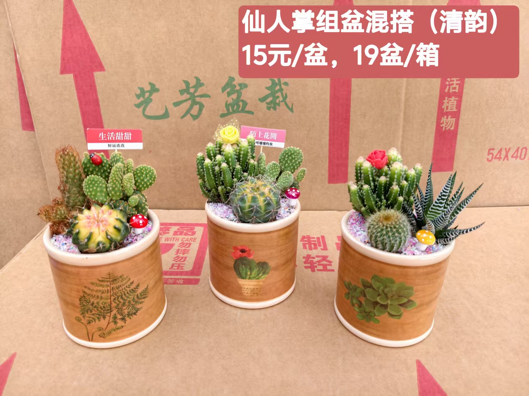 Cactus combinación de vidrio cerámico base de guangzhou venta directa factura boleto especial soporte de cotización de tres partes fábrica directa