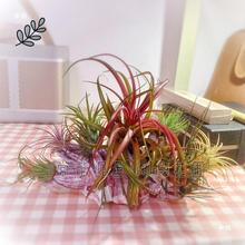 �՚��P�����ˇ�g���P����՚��b�����Gֲ�͏d�̨���һ����S