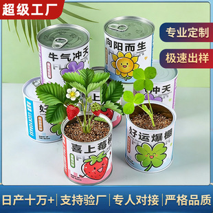 ������ֲ�����ԷNֲ�N�ӻ�ä�����㪄Ʒ���b�W����ͯ�����^С�Y��