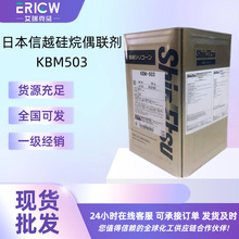 ��Խ KBM503 ����ż�� �������������������� �T���zճ������