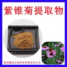 紫锥菊提取物10:1欢迎选购紫锥菊浓缩粉无中间商