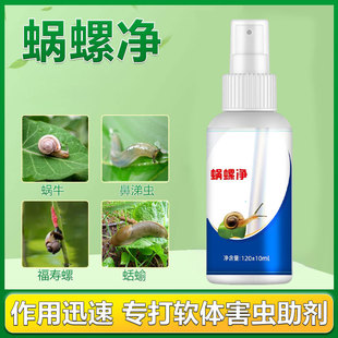 Distribution of Snail and Slug Control Agent for Gardens, Snails, Slugs, Fruit Trees, Apple Snails, Vegetables, and Farmland