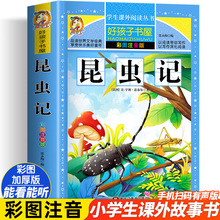 úӕݲʈDע34x xӛ Сwb˵СWn