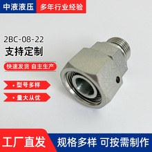 厂家现货批发  316L不锈钢软管接头液压胶管接头 螺母直通接头