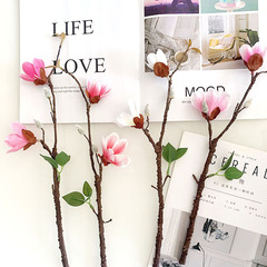 仿真玉蘭花膠片手感玉蘭 餐桌酒店擺件塑料花藝 軟裝設計搭配花材