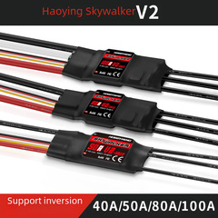 Goodwin Electric Speed Controller Walker V2 40A 50A 80A 100A RC Brushless Electronic Speed Controller Supports Reverse