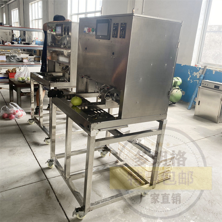 雙工位去皮去核削皮一體機(jī)