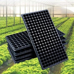 Ѩ�P�м����P������P��P���糬�����׸����Ӻ���150g����