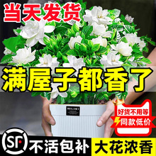 �����ʹ���ĵ���d�ӻ��ļ��_���ܾGֲ�҃��������ԃ����՚�����ȩ