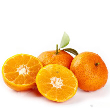 正宗广西砂糖橘新鲜水果金秋蜜桔无籽小沙糖桔子整箱斤礼盒顺丰