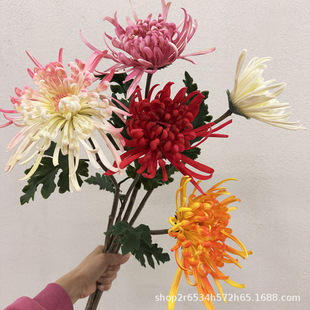 ����ջ��ָ�ܛ�z��z�վ��¾� ��ʽ�L�҃��bzӰ���ߔ[������