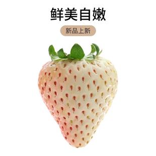 �����ͼt�ײ�ݮ�N�ӡ��ļ��Nֲ��ͥ�@ˇ�r��С�ˈ@����ֲ��N��