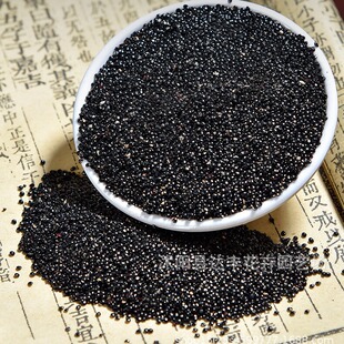 �����ӷN�����lș�ķN����β�ͻ���Ұ�uĘ������ˡ���β�ݿ���ș