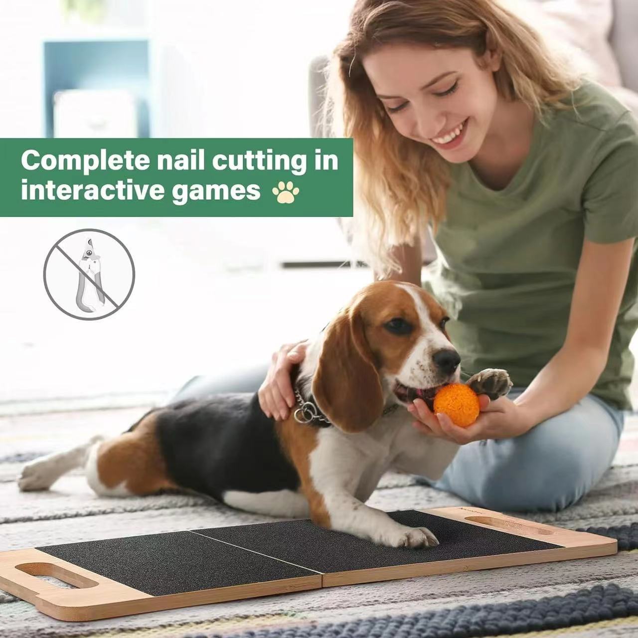 微信图片_20231110104202