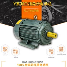 YE2 YE3 Y2 Y三相电机 三相电动机7.5KW--45KW/2极/4 极/6极