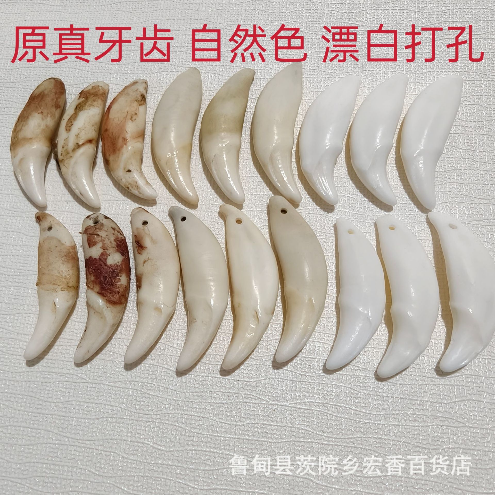 狗牙吊坠狼狗牙项链黑狗牙脚链真藏獒牙手链饰品地摊货源惊骨双孔