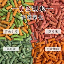 东蠡青鱼颗粒打窝窝料野钓黑坑青鱼大物巨物皮筋钓草鱼专用鱼饵料