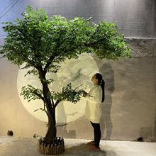 �٘������Ř��҃��b���ؿ͏dֲ��������Ƶ�Gֲ