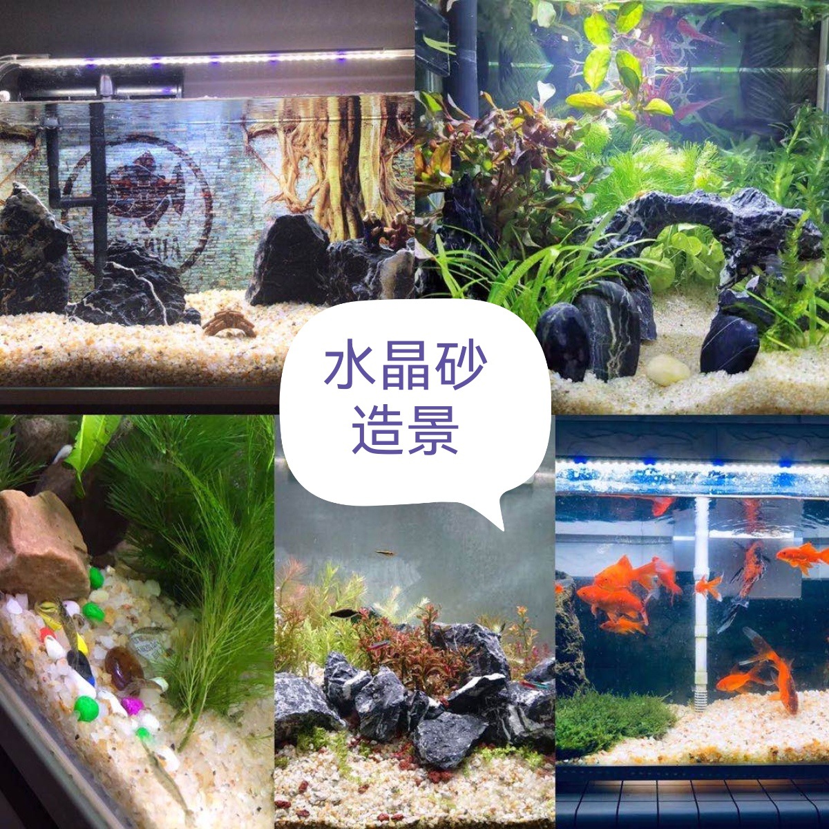 tb_image_share_1666699222250_e