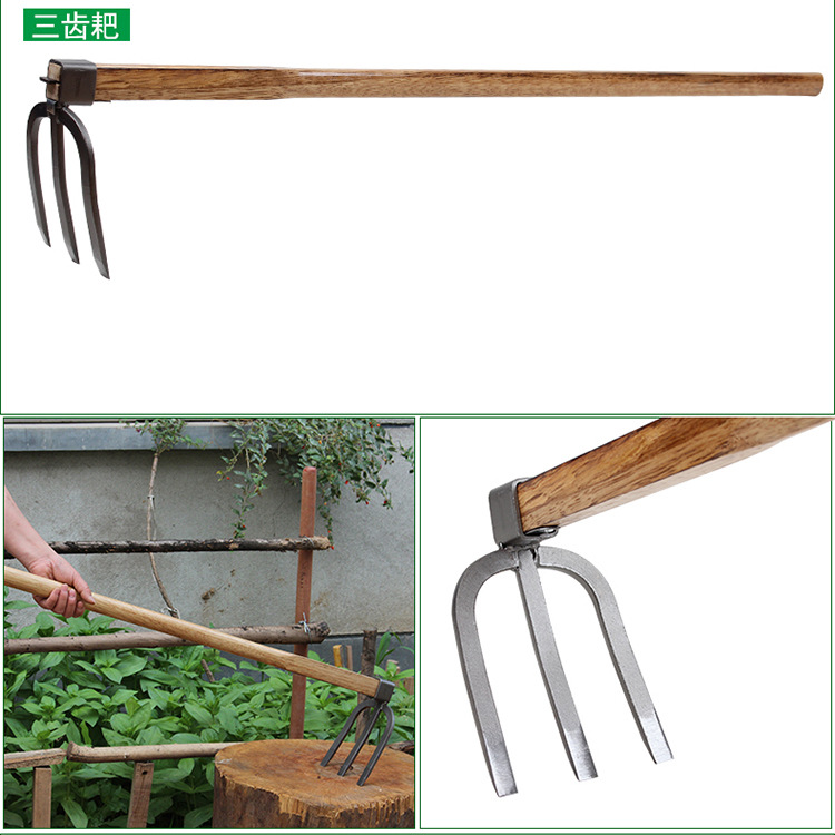 三齿耙.jpg