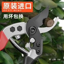 ��ʽ�M����֦��@ˇ����֦������ˇ�޼����ܼ������ӹ��仨ľ����