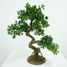 Sӭl辰ֲԼҾ̨Pkܛb