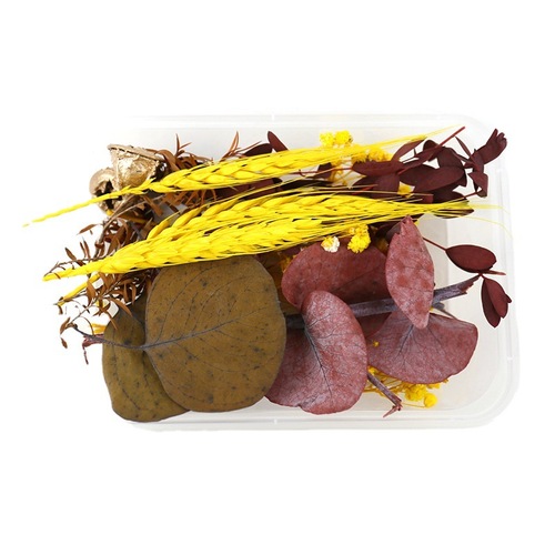 Eternal flower dried flower full star DIY material box fragrance drop glue rose dried flower forget-me-not photo frame fan decoration 