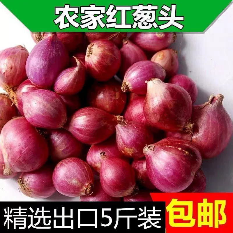 Доступные одиночные луковицы красного лука, зеленый лук, сушеный лук, жареное луковое масло, кантонский рисовый соус.