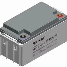 UPSU늳TN12-65E 12V65AHyʽUSo늳EPS