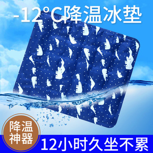 Ice Cushion Cushion Student Classroom Summer Cool Cushion Water-Free Cooling Summer Ice Bag Car Water Cushion Cool Pillow