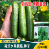 Dutch fruits cucumber seeds and field vegetable garden is easy to plant crispy tender and delicious summer quenching cucumber vegetable seeds