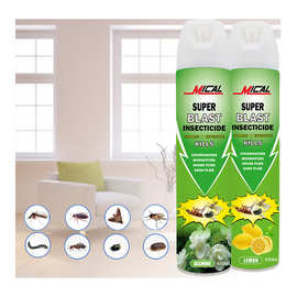 家居个护气雾杀虫剂 杀虫喷雾 Insect killer Spray