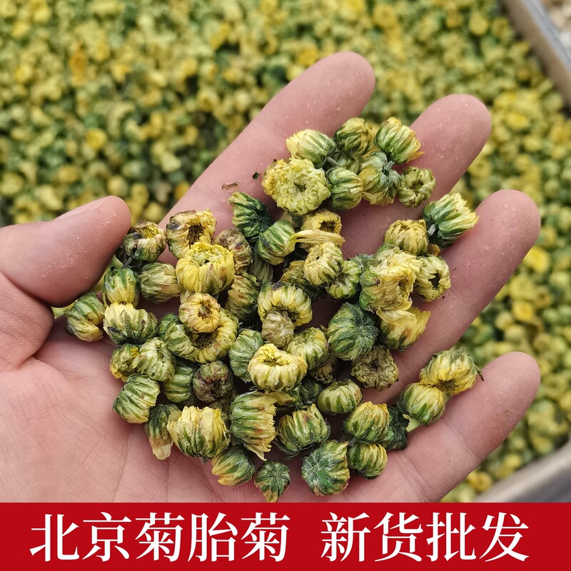New Arrival Chrysanthemum Tea 500g Jiangsu Beijing Chrysanthemum Herbal Tea Chrysanthemum Fruit Tea Bulk Wholesale New Arrival Chrysanthemum Tea 500g Jiangsu Beijing Chrysanthemum Herbal Tea Chrysanthemum Fruit Tea Bulk Wholesale