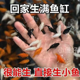 �����������~����̥��ֱ����С�~����ĸ�~����Ƥ���~���B�ͻ�