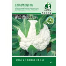 ɽ88ɻ˷Nͺ͝񿹲߮aԴ^SֱN2000߲˷N