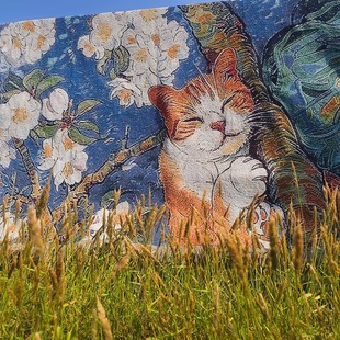 ¶�I̺Ұ��̺�๦��̺�����b�̺ɳ�l�w̺����Ұ�I��̺