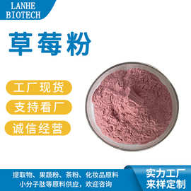 草莓粉 喷雾干燥草莓粉 草莓粉 草莓汁粉 草莓果粉 水溶草莓粉